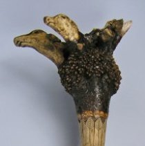 Moose Hunt Root Club